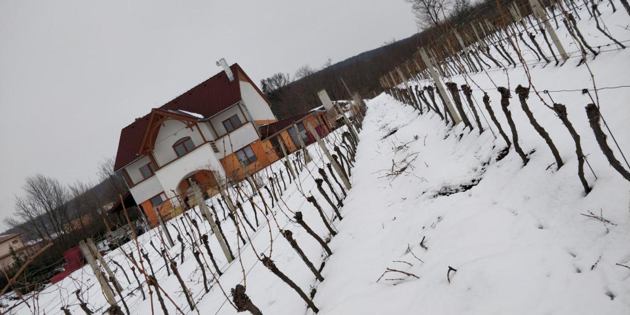 Vila Vinox Winery Vinica Exteriér fotografie