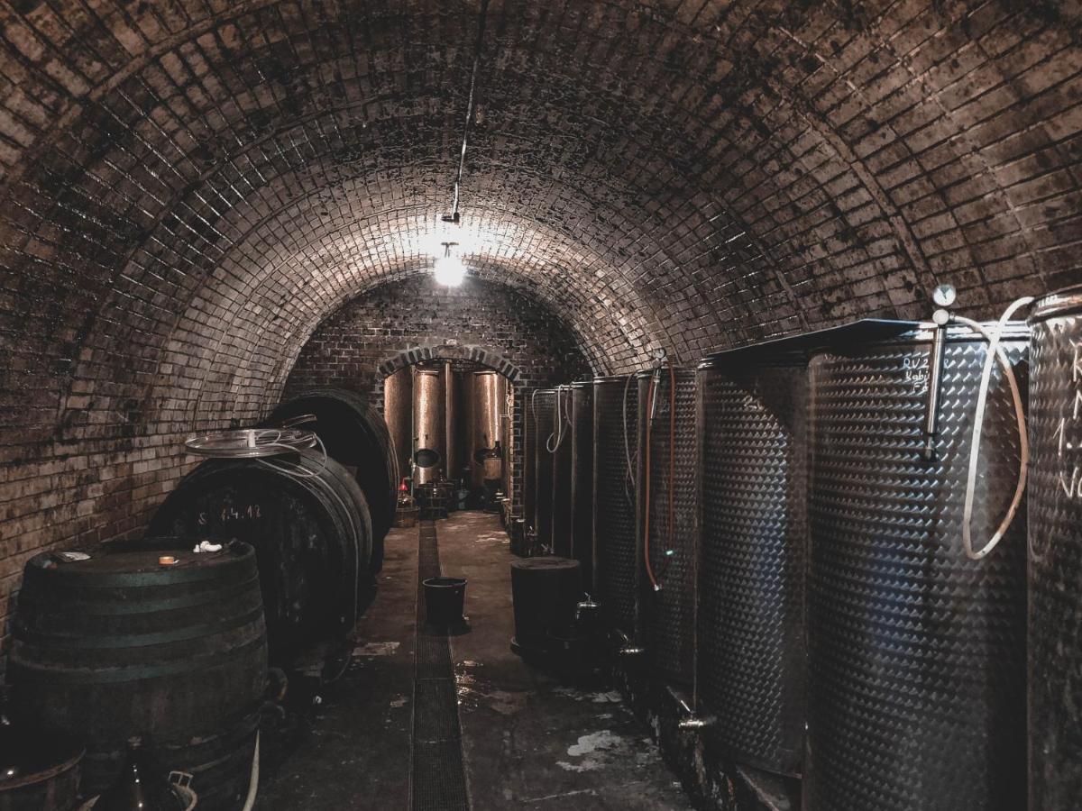 Vila Vinox Winery Vinica Exteriér fotografie